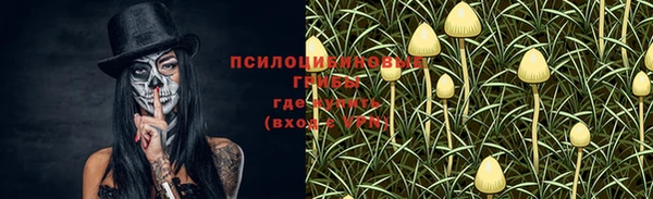 mdpv Алексин