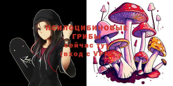 молекула духа Алексеевка