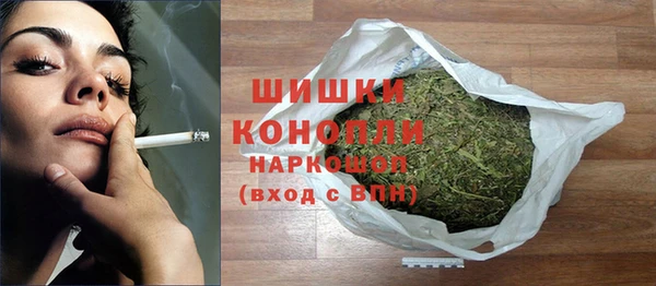 прущий лед Алзамай