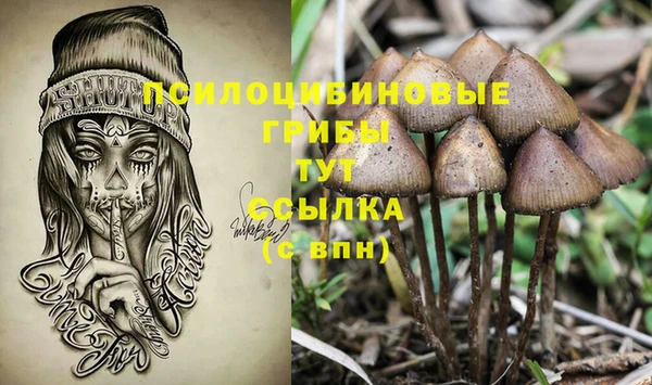 молекула духа Алексеевка