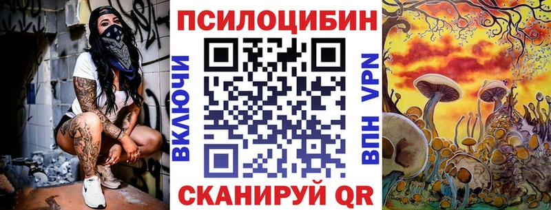 kraken как войти  Порхов  Галлюциногенные грибы прущие грибы 