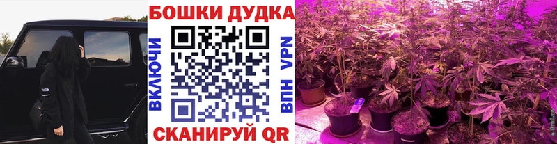 как найти наркотики  Порхов  мега   Канабис SATIVA & INDICA 